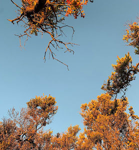 Meet your Posher, Jesslyn